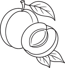 Whole and halved apricot with leaves fruit