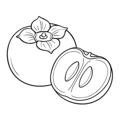 Whole and halved persimmon fruit with leaves vector