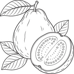 Whole and sliced guava fruit with leaves vector