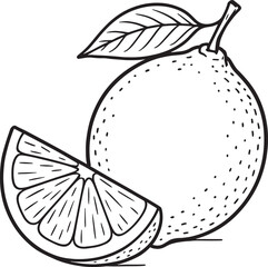 Whole citrus fruit with leaf and slice vector