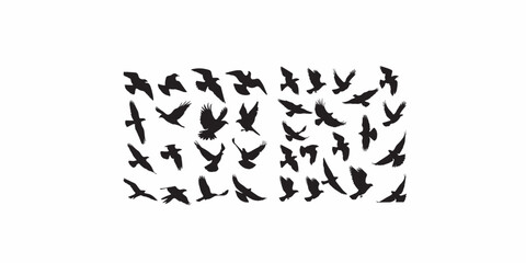 Print   Assortment of black bird silhouettes in various flying poses, signaling concepts of freedom, danger, and risk.
