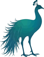 peacock silhouette vector illustration