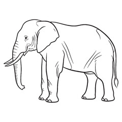 Massive-footed Elephant Durable Structure Aspect - Elephant vector - Elephant Line art - Elephant Drawing - Vector Lineart of Elephant - elephant icon - outline of elephant

