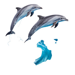 Fototapeta premium Oceanic Ballet Two Dolphins Leap