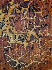 grunge texture of old paper