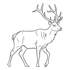 North American Elk Rare Trait Element - Elk vector - Elk Line art - Elk Drawing - Vector Lineart of Elk - elk logo - elk outline

