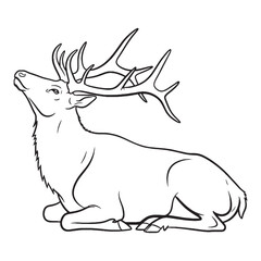 Antlered Elk Feature Shape - Elk vector - Elk Line art - Elk Drawing - Vector Lineart of Elk - elk logo - elk outline

