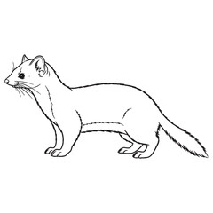 Short-legged Ermine Defining Attribute Mark - Ermine vector - Ermine Line art - Ermine Drawing - Vector Lineart of Ermine - ermine logo - ermine outline

