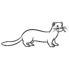 Agile Ermine Body Anatomy Sketch - Ermine vector - Ermine Line art - Ermine Drawing - Vector Lineart of Ermine - ermine icon - outline of ermine

