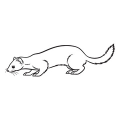 Sleek-bodied Ermine Feature Shape - Ermine vector - Ermine Line art - Ermine Drawing - Vector Lineart of Ermine - ermine logo - ermine outline


