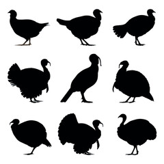 Obraz premium vector illustration of turkey silhouette set, Black & White silhouette set 