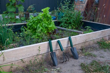 Garden bed filled with fresh produce and gardening tools ready for use in the soil.