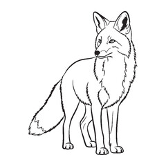 Clever Fox Untamed Spirit Vision - Fox vector - Fox Line art - Fox Drawing - Vector Lineart of Fox - fox logo - fox outline

