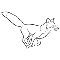 Wild-dweller Fox True Identity Phase - Fox vector - Fox Line art - Fox Drawing - Vector Lineart of Fox - fox icon - outline of fox


