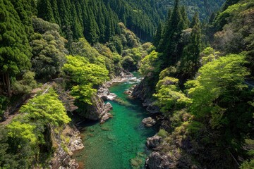 Fototapeta premium Emerald river winding through lush green valley. Sunlight highlights the crystal clear water and surrounding trees