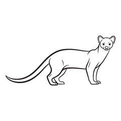 Nimble-limbed Fossa Distinctive Character Span - Fossa vector - Fossa Line art - Fossa Drawing - Vector Lineart of Fossa - fossa icon - outline of fossa

