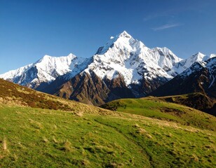 Naklejka premium Beautiful white horse mountains
