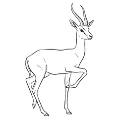 Slender Gazelle True Identity Phase - Gazelle vector - Gazelle Line art - Gazelle Drawing - Vector Lineart of Gazelle - gazelle icon - outline of gazelle

