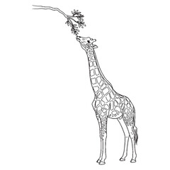 Serene Giraffe Defining Attribute Mark - Giraffe vector - Giraffe Line art - Giraffe Drawing - Vector Lineart of Giraffe - giraffe logo - giraffe outline   © Jahangir