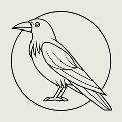 Fototapeta premium Thin Line Drawing Of A Crow In Side View