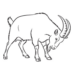 Skeletal Goat Rare Trait Element - Goat vector - Goat Line art - Goat Drawing - Vector Lineart of Goat - goat logo - goat outline

