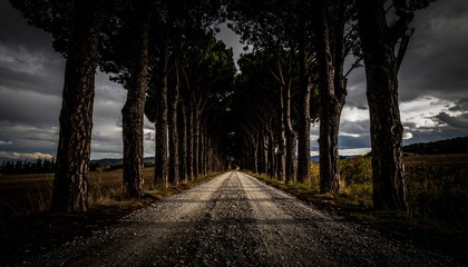 Dramatic Tree-Lined Gravel Road Under Stormy Sky in Tuscany Italy.