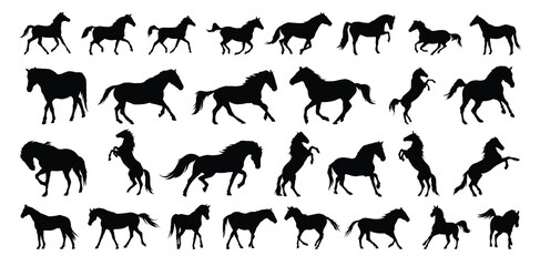 horse silhouette set. horse different poses isolated farm animal silhouette icon vector collection
