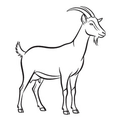 Ultimate Goat Untamed Spirit Vision - Goat vector - Goat Line art - Goat Drawing - Vector Lineart of Goat - goat logo - goat outline

