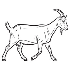 Farm Goat Silent Presence Air - Goat vector - Goat Line art - Goat Drawing - Vector Lineart of Goat - goat logo - goat outline


