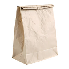 Plain Brown Paper Lunch Bag: Packaging and Food Service