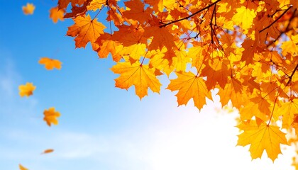Autumn leaves against a vibrant blue sky