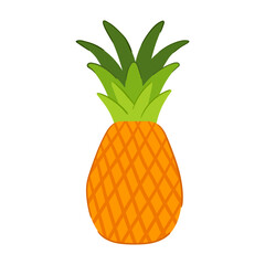 Pineapple in hand drawn style. Vector illustration isolated on white background