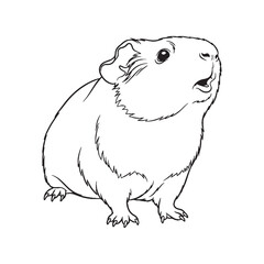 Key Guinea Pig Rare Trait Element - Guinea Pig vector - Guinea Pig Line art - Guinea Pig Drawing - Vector Lineart of Guinea Pig - guinea pig logo - guinea pig outline

