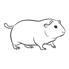 Authentic Guinea Pig True Identity Phase - Guinea Pig vector - Guinea Pig Line art - Guinea Pig Drawing - Vector Lineart of Guinea Pig - guinea pig icon - outline of guinea pig

