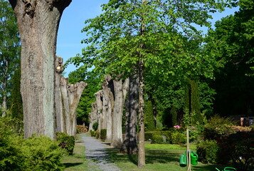 Cemetery in Spring in the Town Schwarmstedt, Lower Saxony