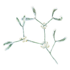 Mistletoe branch with berries covered with frost. Watercolor illustration of a Winter Christmas plant. Hand drawn vintage sketch on white isolated background. Water color painting art image
