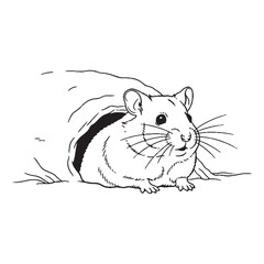Total Hamster Physical Makeup Figure - Hamster vector - Hamster Line art - Hamster Drawing - Vector Lineart of Hamster - hamster icon - outline of hamster

