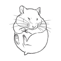 Cute Cricetidae Being Attribute - Hamster vector - Hamster Line art - Hamster Drawing - Vector Lineart of Hamster - hamster icon - outline of hamster

