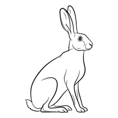 Deepest Hare Resilience Capacity - Hare vector - Hare Line art - Hare Drawing - Vector Lineart of Hare - Hare icon - outline of hare

