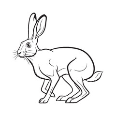 Hardy Hare Terrestrial Form View - Hare vector - Hare Line art - Hare Drawing - Vector Lineart of Hare - Hare icon - outline of hare

