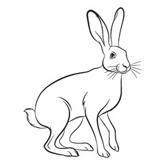 Wild Leporidae Being Attribute - Hare vector - Hare Line art - Hare Drawing - Vector Lineart of Hare - Hare icon - outline of hare

