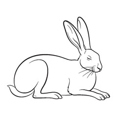Agile Hare Body Anatomy Sketch - Hare vector - Hare Line art - Hare Drawing - Vector Lineart of Hare - Hare icon - outline of hare

