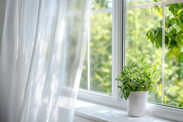 カーテン越しに光が差す明るい窓辺と観葉植物