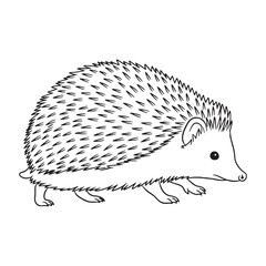 Small Erinaceidae Being Attribute - Hedgehog vector - Hedgehog Line art - Hedgehog Drawing - Vector Lineart of Hedgehog - Hedgehog icon - outline of hedgehog

