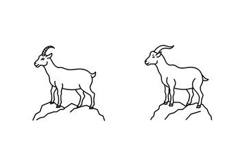 Mountain goat standing on rocks ibex mountain animal