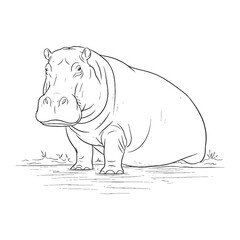 Giant Hippopotamus Being Attribute - Hippo vector - Hippo Line art - Hippo Drawing - Vector Lineart of Hippo - Hippo icon - drawing of hippo

