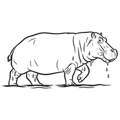 Aquatic Hippopotamus Silent Presence Air - Hippopotamus vector - Hippopotamus Line art - Hippopotamus Drawing - Vector Lineart of Hippopotamus - Hippopotamus illustration - vector of hippopotamus

