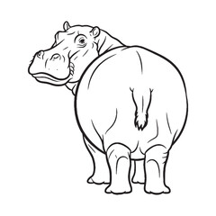 Bulky Hippopotamus Body Anatomy Sketch - Hippopotamus vector - Hippopotamus Line art - Hippopotamus Drawing - Vector Lineart of Hippopotamus - Hippopotamus icon - drawing of hippopotamus

