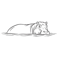 Broad Hippopotamus Head Feature Shape - Hippopotamus vector - Hippopotamus Line art - Hippopotamus Drawing - Vector Lineart of Hippopotamus - Hippopotamus illustration - vector of hippopotamus

