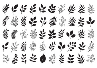 Collection of black and white botanical leaf branch illustrations leaves nature